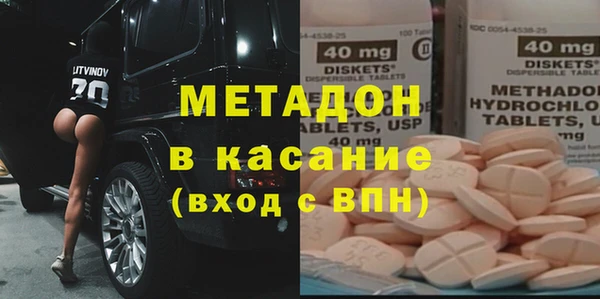 стаф Алзамай