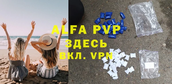 стаф Алзамай