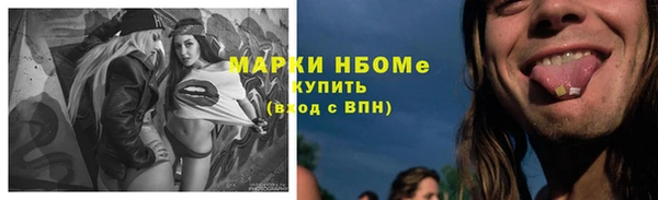 стаф Алзамай