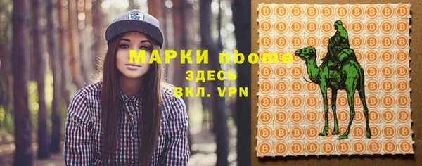 стаф Алзамай