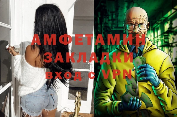 стаф Алзамай