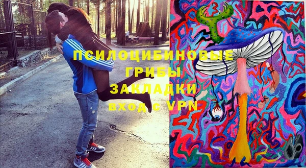 стаф Алзамай