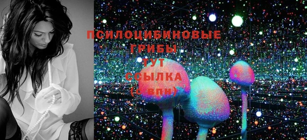 2c-b Алексеевка