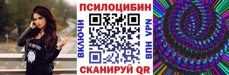 Купить  Чебоксары  Галлюциногенные грибы Psilocybe 
